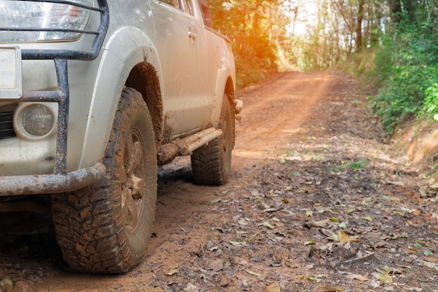 ruedas de coche en un camino de grava en la selva tropical