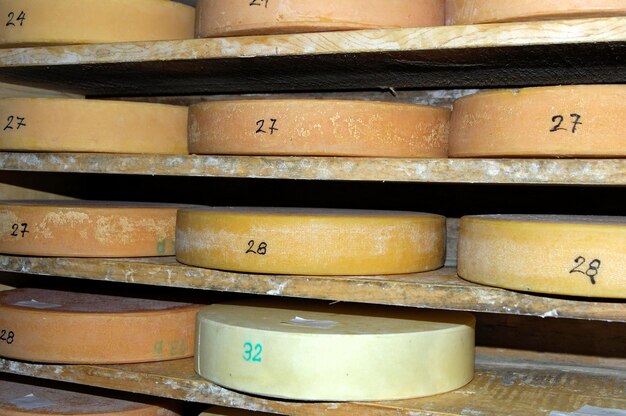 Ruedas de queso Alp en el almacén de una quesería Suiza
