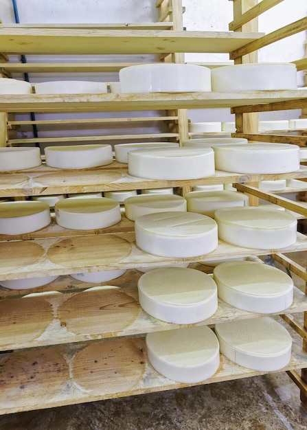 Ruedas de queso joven en estantes de madera en la bodega de maduración de la lechería Franche Comte en Francia