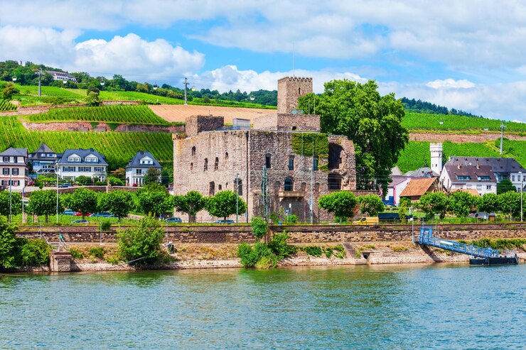 Foto rüdesheim am rhein weinberge deutschland