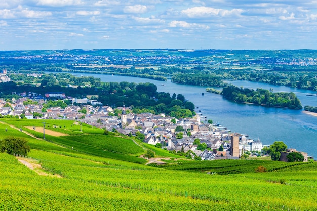 Rüdesheim am Rhein Weinberge Deutschland