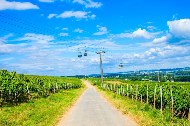 Rüdesheim am Rhein Weinberge Deutschland