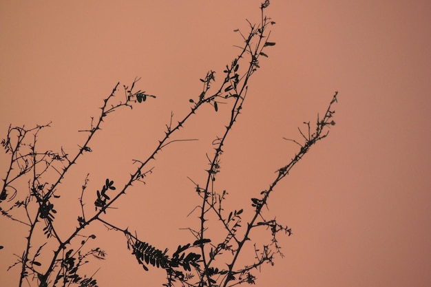 Foto ruhe in der natur freies foto