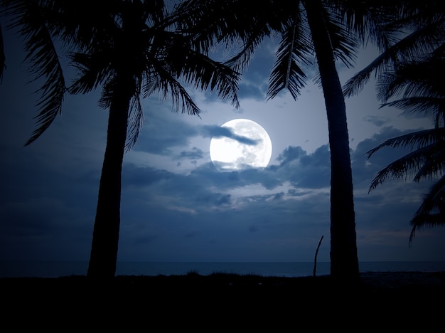 Ruhige Nacht am tropischen Strand mit Palmen und Mond