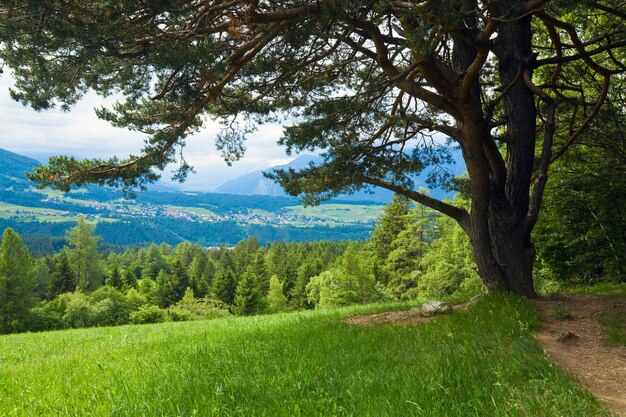 Ruhige Sommeransicht der Alpenberge