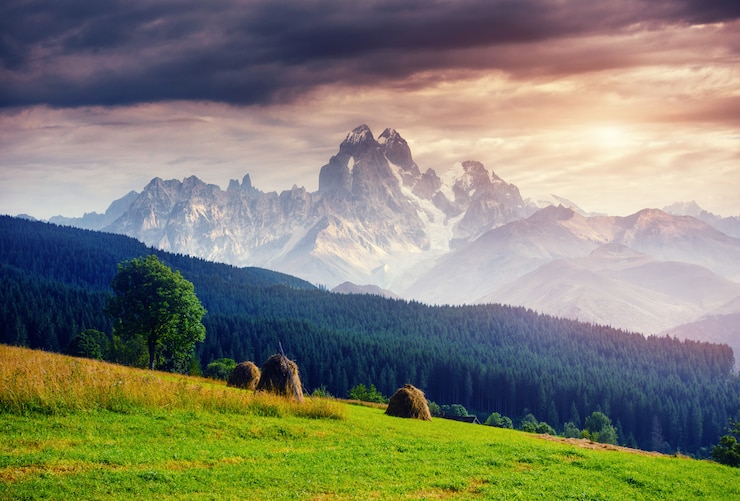 Foto ruhige sommeransicht der alpengebirgswiese