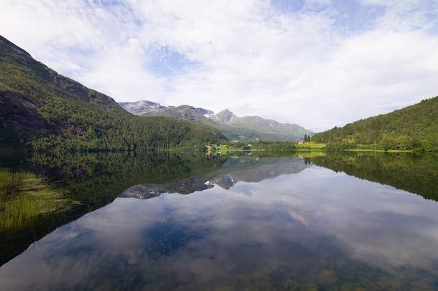 Ruhiger Blick auf einen See, umgeben von Grün in Norwegen