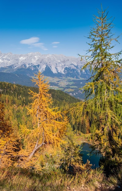 Ruhiger Herbst Alpen Bergsee mit klarem, transparentem Wasser und Reflexionen Untersee Reiteralm Steiermark Österreich