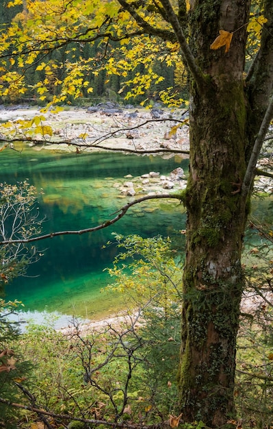 Ruhiger Herbstalpen-Gebirgssee mit klarem, transparentem Wasser und Reflexionen Gosauseen oder Vorderer Gosausee Oberösterreich