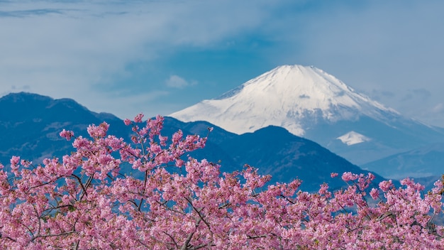 Ruhiger See Fuji Mountain View