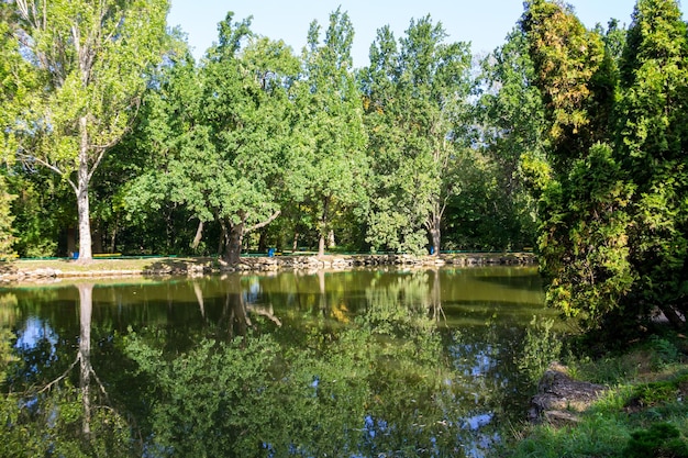 Ruhiger See im grünen Park im Sommer