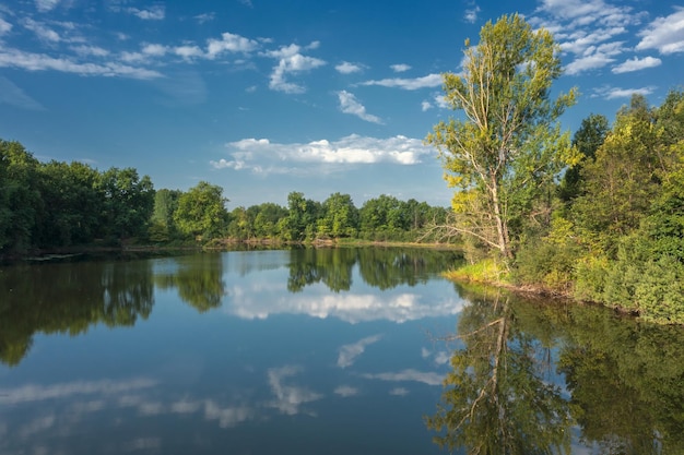 Ruhiger Sommersee im Wald