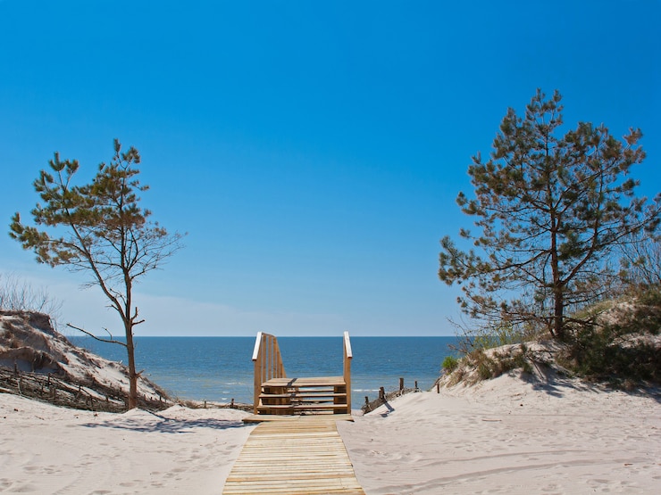 Foto ruhiger sonniger meerblick mit sanddünen und pinien