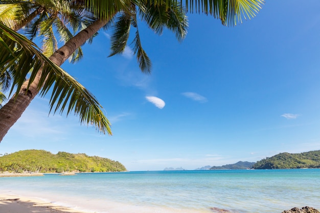 Ruhiger tropischer Strand