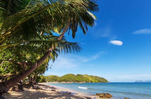 Ruhiger tropischer Strand