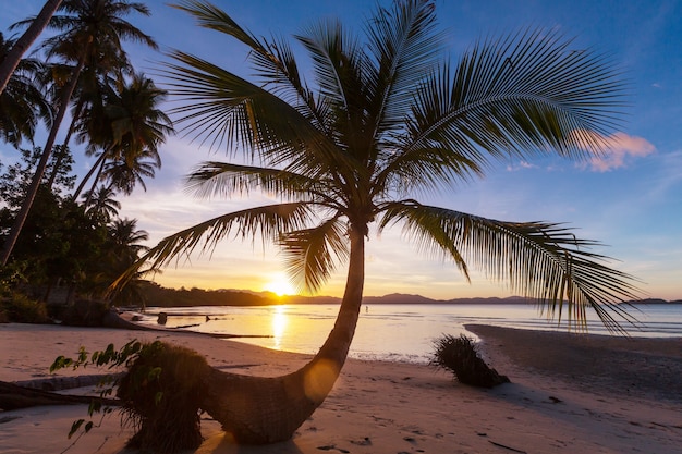 Ruhiger tropischer Strand