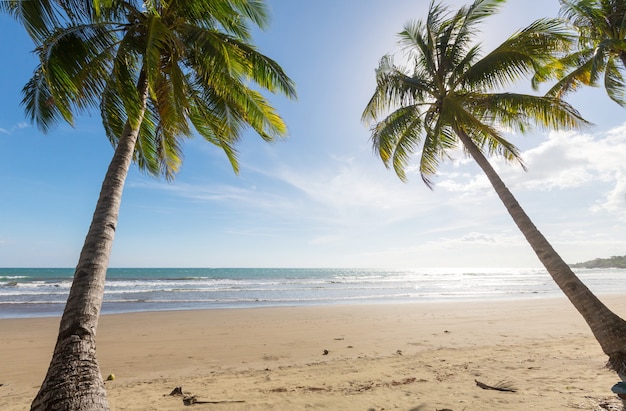 Ruhiger tropischer Strand