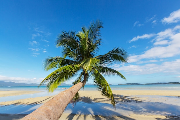 Ruhiger tropischer Strand