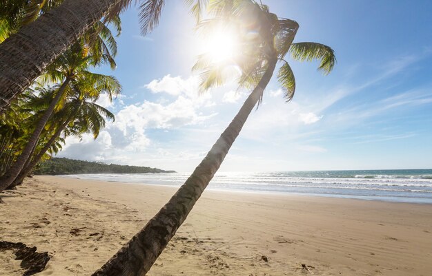 Ruhiger tropischer Strand