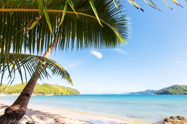 Ruhiger tropischer Strand