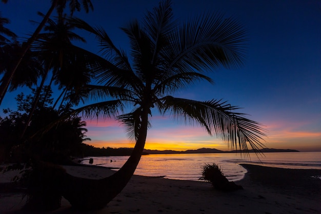 Ruhiger tropischer Strand