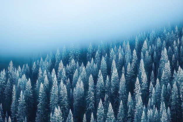 Ruhiger verschneiter Wald im Herzen von WinterxA