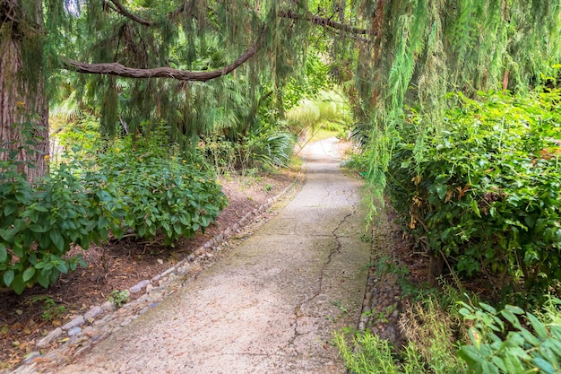 Ruhiger Weg im Botanischen Garten