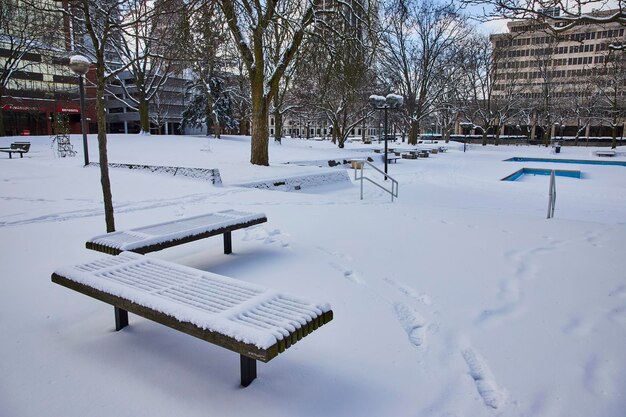 Ruhiger Winterpark mit schneebedeckten Bänken Städtische Bäume und Stadt-Hintergrund