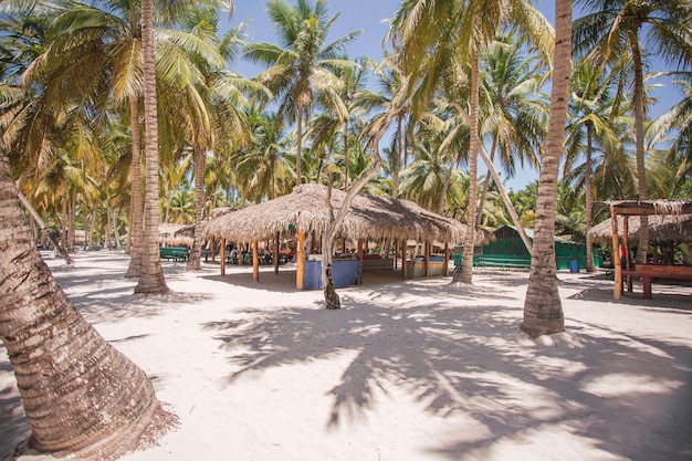 Ruhiges Paradies mit Palmen und Strand