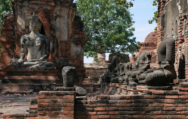 Foto ruina antigua buda en ayudthaya, tailandia