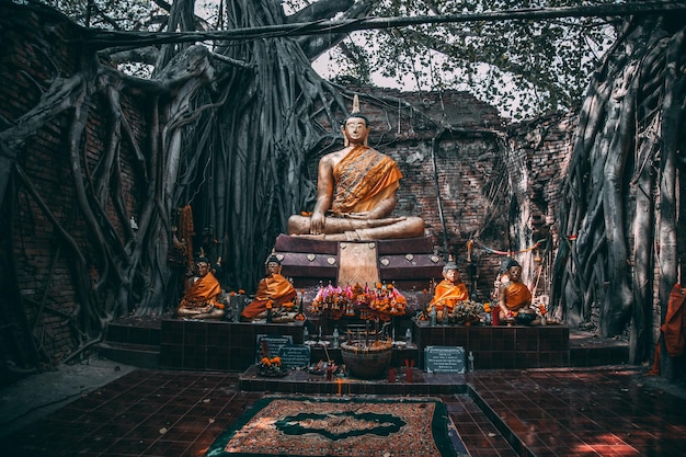 Ruína do templo Wat Sai coberta por raízes de figueiras em Sing Buri Tailândia