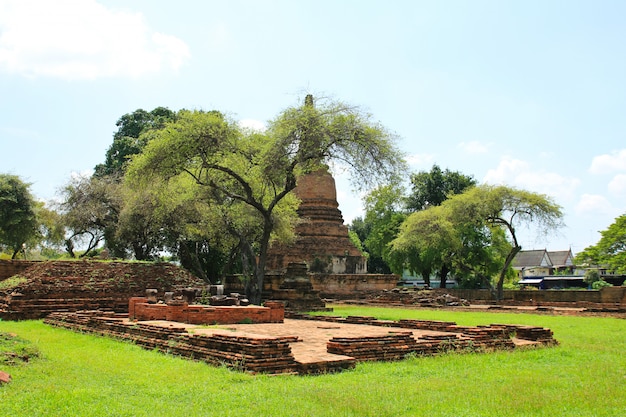 la ruina de un templo budista en el parque histórico de Ayutthaya en Tailandia