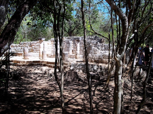 Ruínas antigas do Maya Chichen Itza Yucatan México