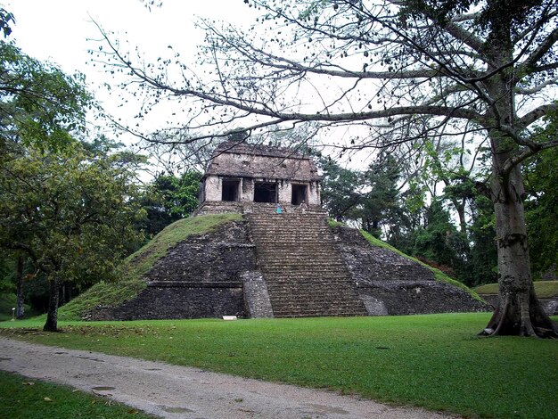 Ruínas antigas do Maya Palenque México