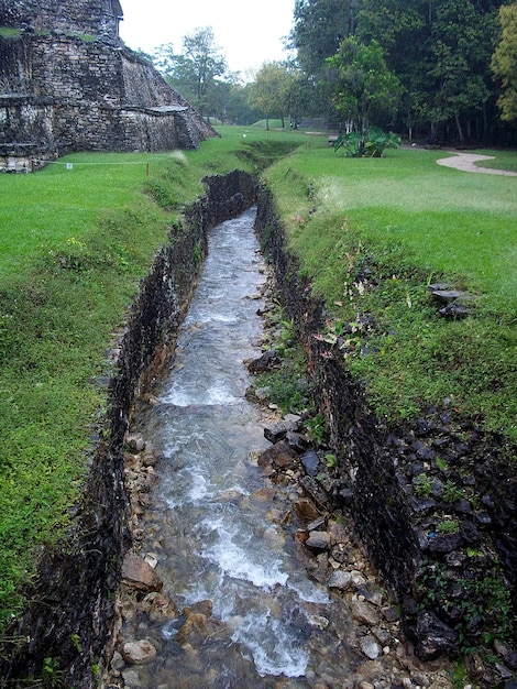 Ruínas antigas do Maya Palenque México