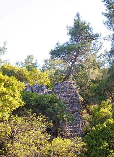 Ruínas antigas na ilha Grécia do Rodes