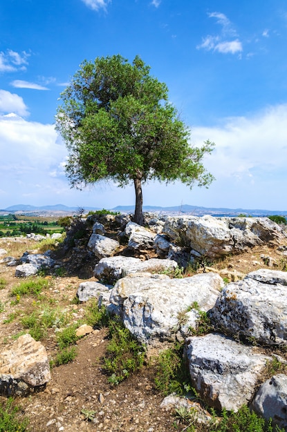 Ruinas de la antigua ciudad de Teos. Sigacik, Seferihisar, Izmir, Turquía.