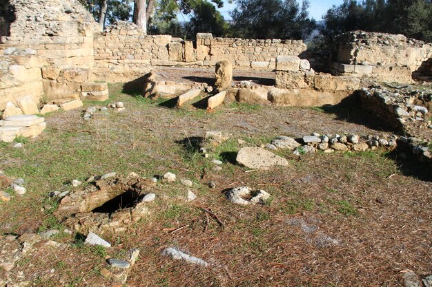 Ruinas de la antigua Esparta