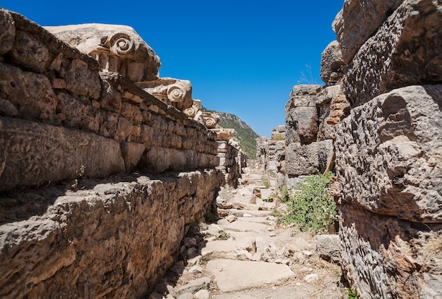 Ruinas de la antigua Éfeso Selcuk en la provincia de Izmir Turquía