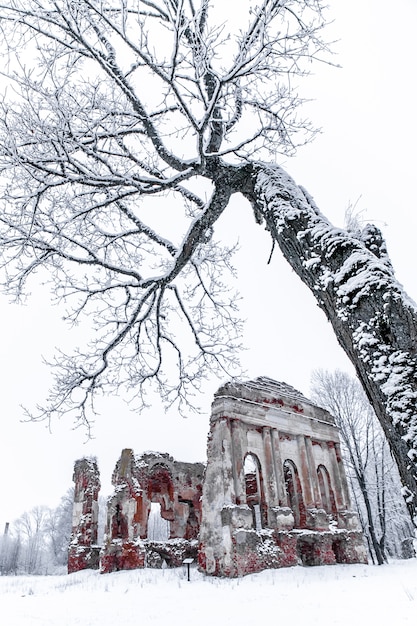 Ruinas de la antigua iglesia en un día de invierno