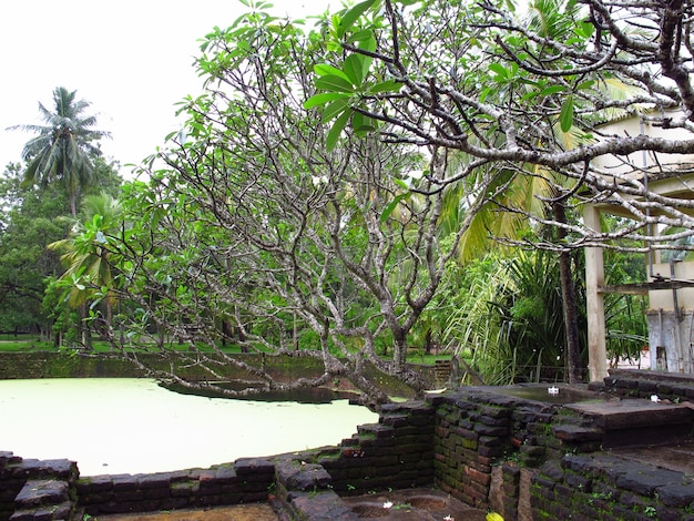 Foto ruinas antiguas en anuradhapura, sri lanka