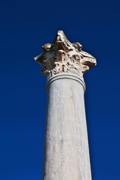 Ruinas antiguas Salamina, Chipre del Norte