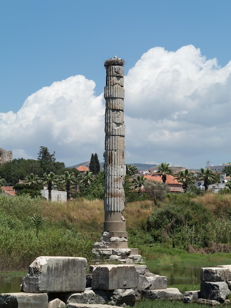 Ruinas antiguas del Templo de Artemisa