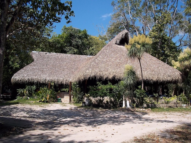 Ruinas antiguas en Tikal, Guatemala