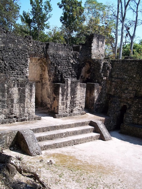 Ruinas antiguas en Tikal, Guatemala