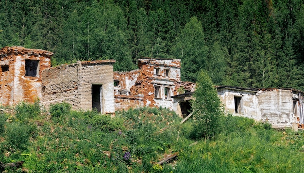 Ruinas de un antiguo edificio industrial de ladrillo entre el bosque en las montañas