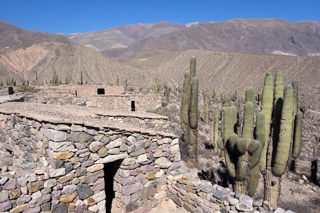 Ruinas arqueológicas de Pucara de tilcara en Jujuy Argentina paisaje desértico en las montañas de los Andes