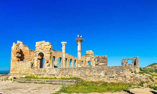 Ruinas de una basílica romana de Volubilis, un sitio del patrimonio mundial en Marruecos