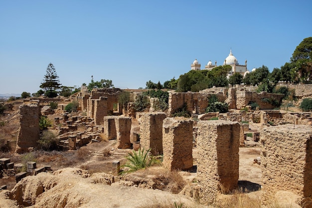 Ruinas de Cartago en Túnez