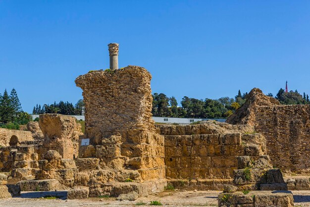 Ruinas de Cartago viejo